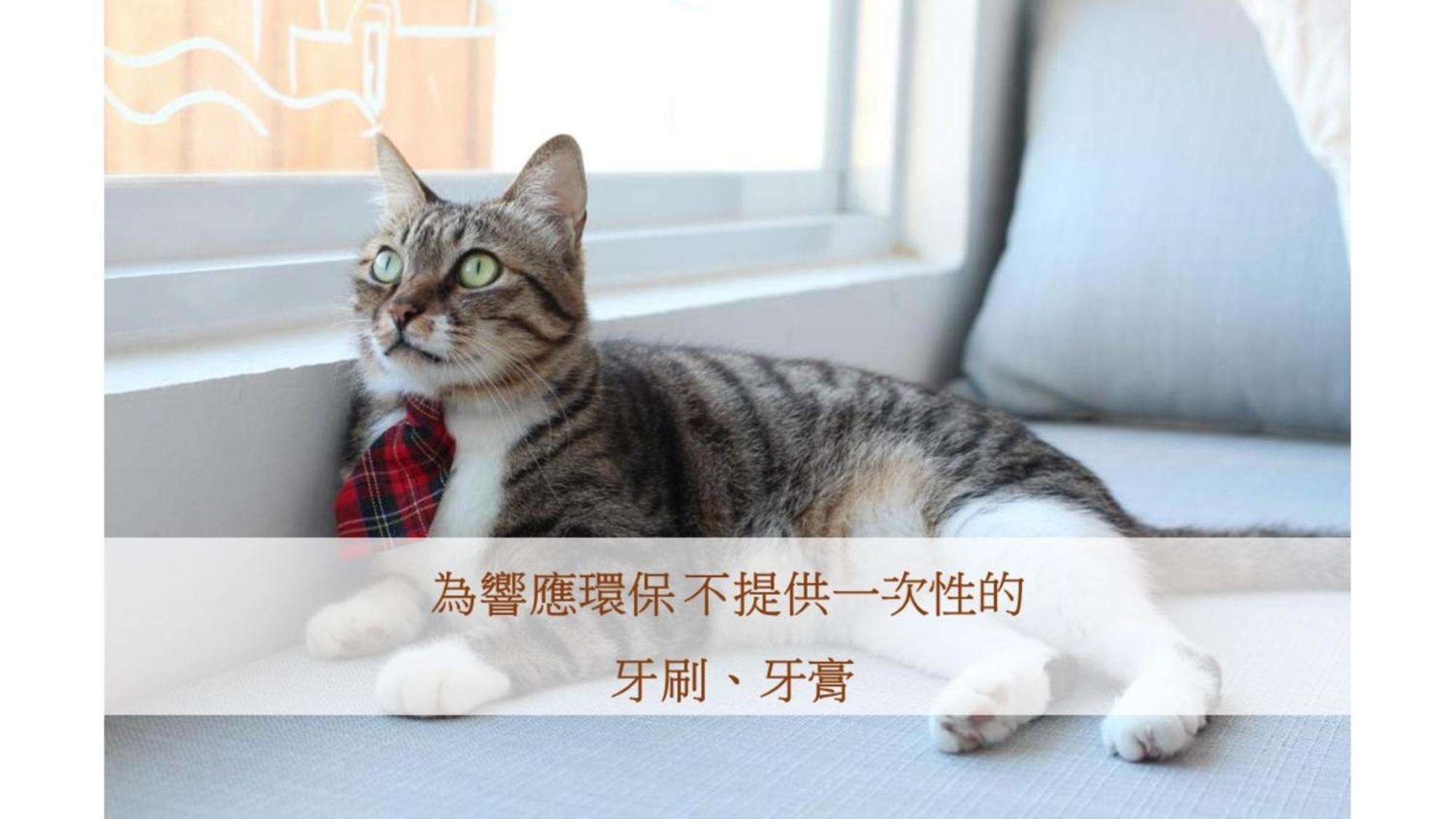 南湾希腊遇见猫住宿加早餐旅馆 外观 照片